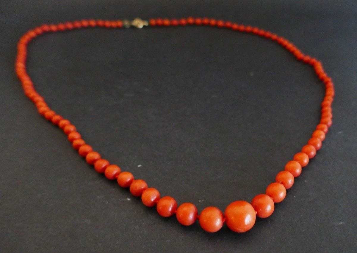 Ancient Coral Falling Necklace