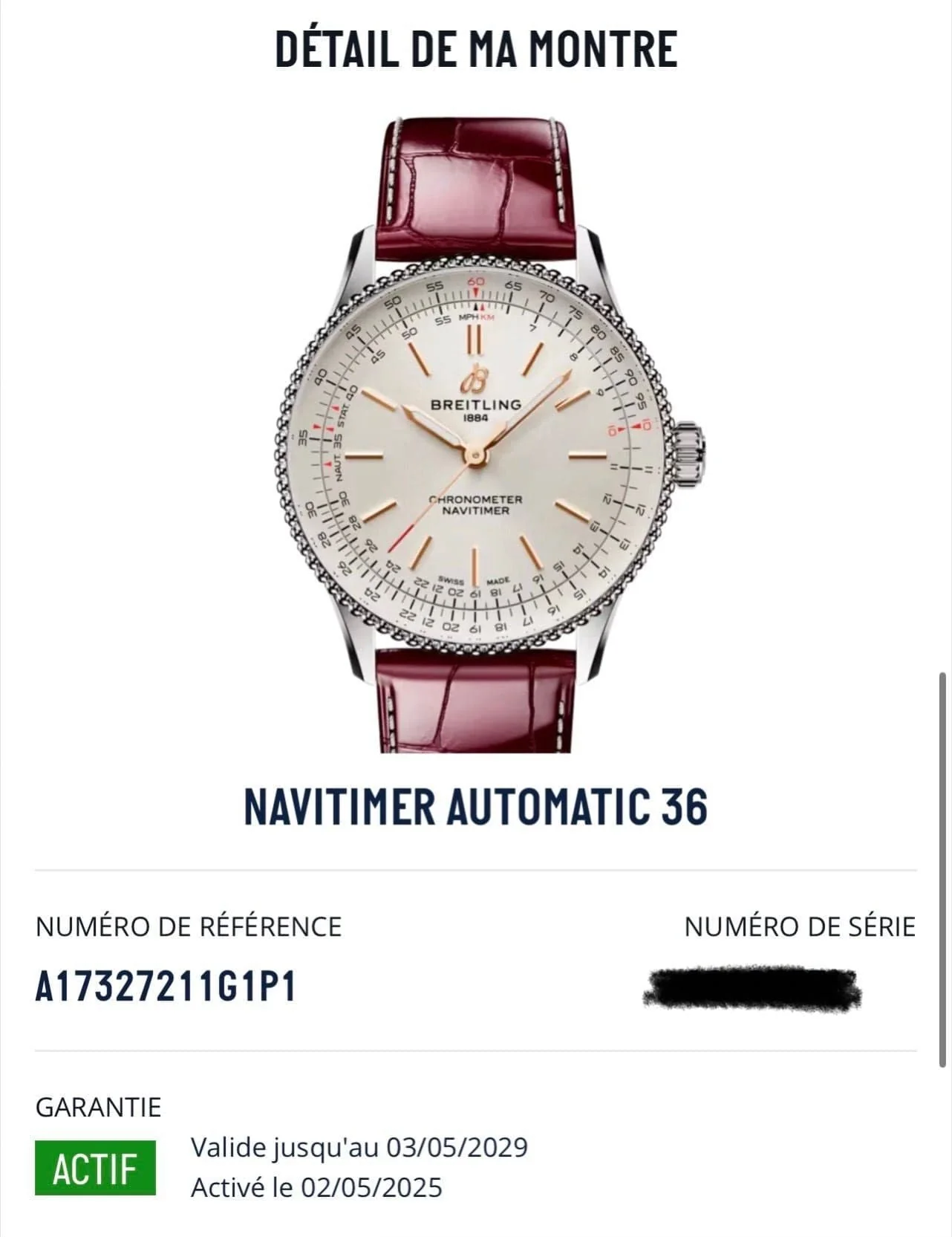 Breitling Navitimer A17327211G1P1  - Image 11