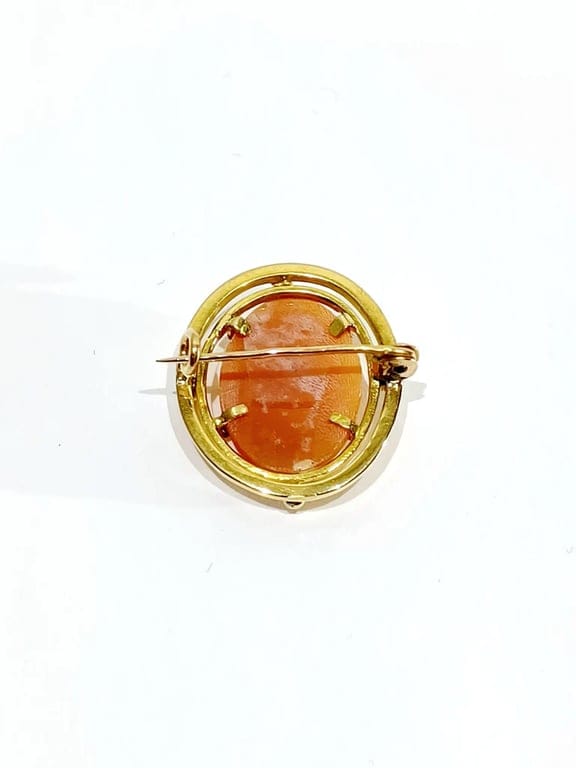 Pin cameo shellfish - Image 9