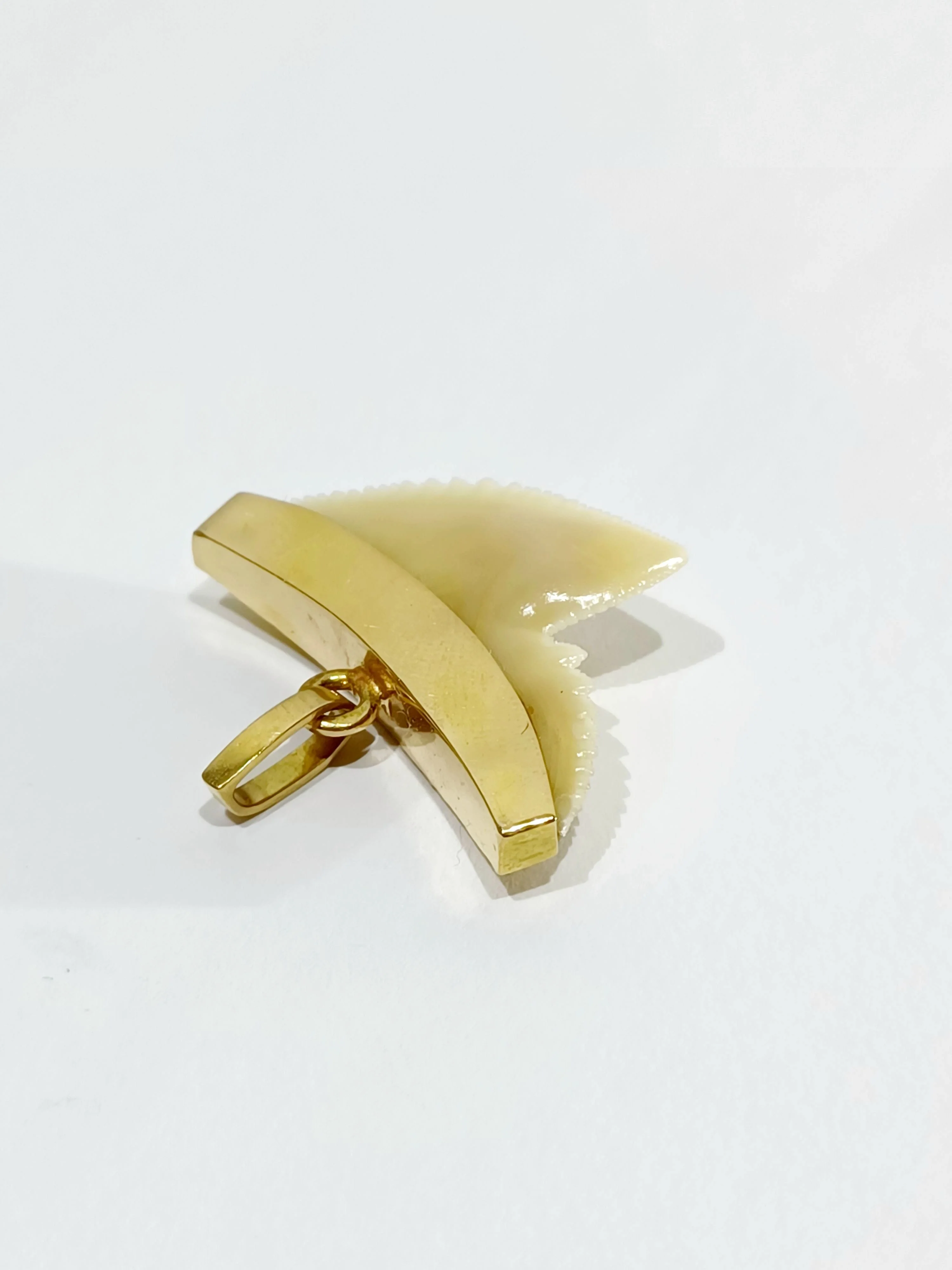 Yellow gold shark tooth pendant - Image 6