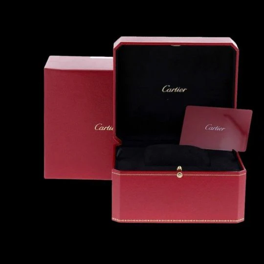 Cartier Santos 100 watch  - Image 11