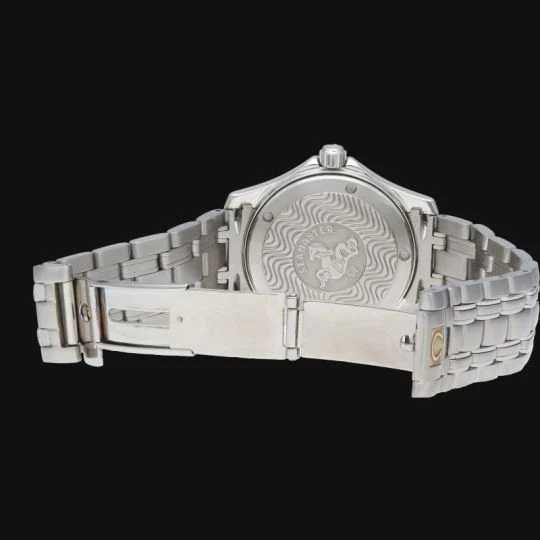 Omega Seamaster 120M Watch  - Image 10
